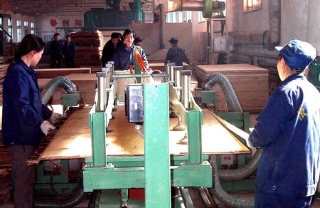 日照京杭林产就是其中一家木材加工企业