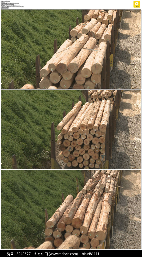 国家知识产权局信息显示