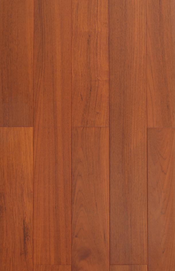 身处Rangitoto College等北岸最受追捧学区之内